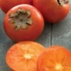 American Persimmon Tree (Diospyros Virginiana) - 3 Pack Of 1.5 Quart Pots